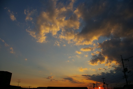 e0086642_22254766.jpg