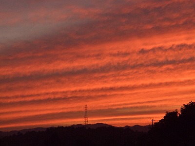 a0023043_16482910.jpg