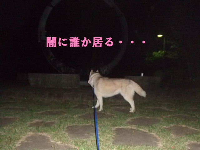 e0121548_20391870.jpg