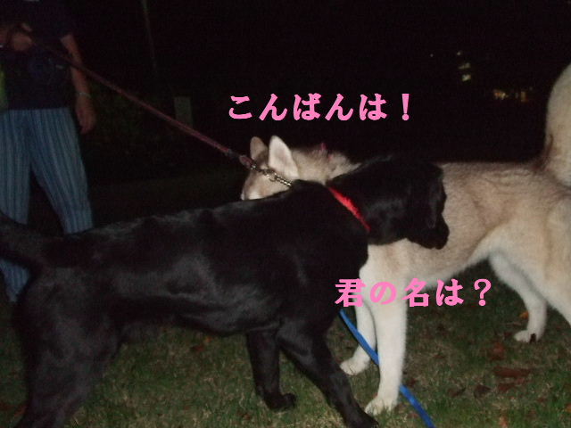 e0121548_20405262.jpg