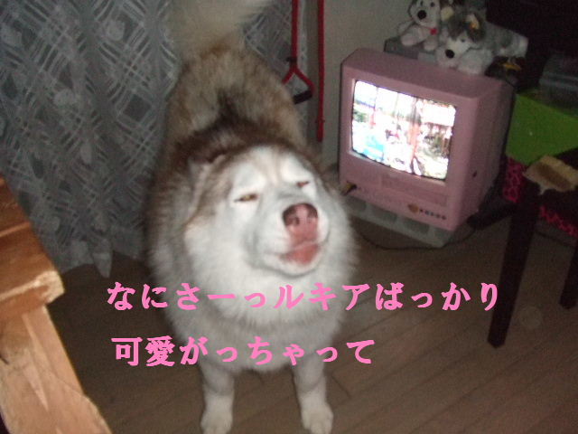 e0121548_2050066.jpg