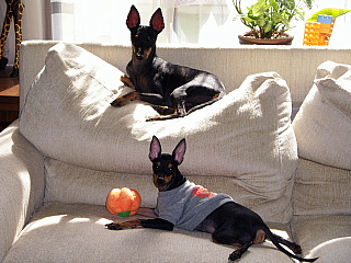 c0123149_12521292.jpg