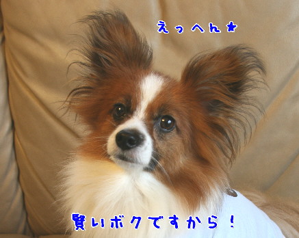 d0013149_1451791.jpg