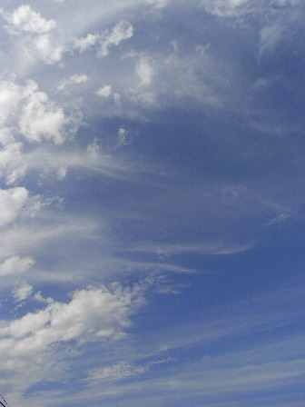 d0013149_151328.jpg