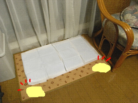 d0013149_174366.jpg