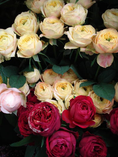 f0041850_14451353.jpg