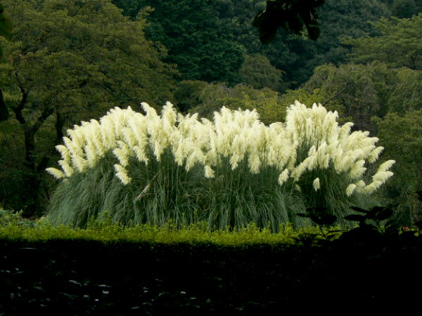 d0091754_2222458.jpg