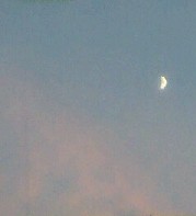 a0041964_22541375.jpg