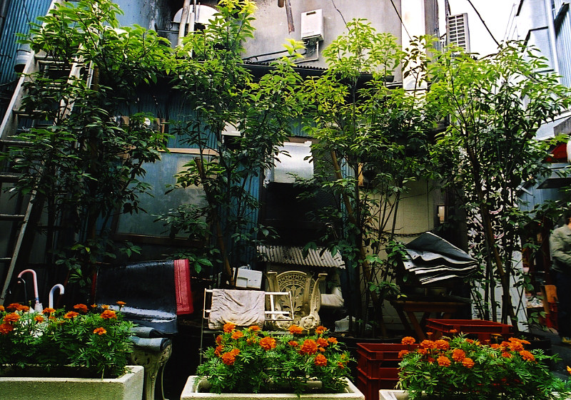 c0084666_16165270.jpg