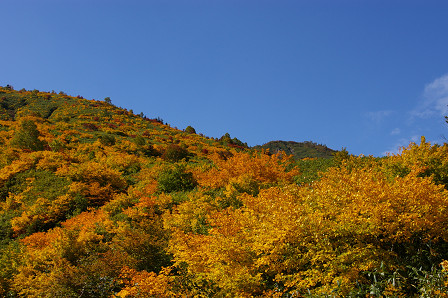 e0045768_21464987.jpg
