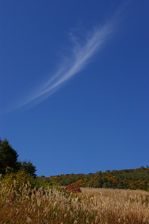 e0045768_21471398.jpg