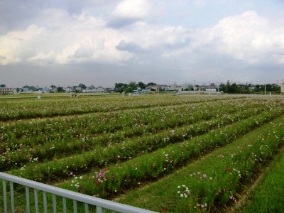 c0078480_22353685.jpg