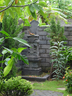 d0039981_928385.jpg