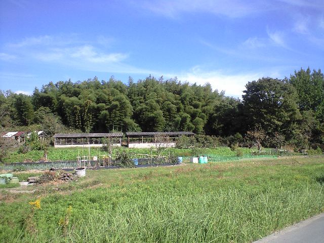 f0051283_16384764.jpg