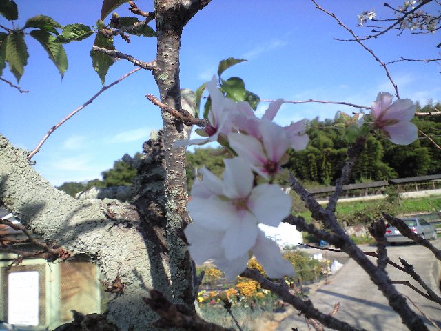 f0051283_16403883.jpg