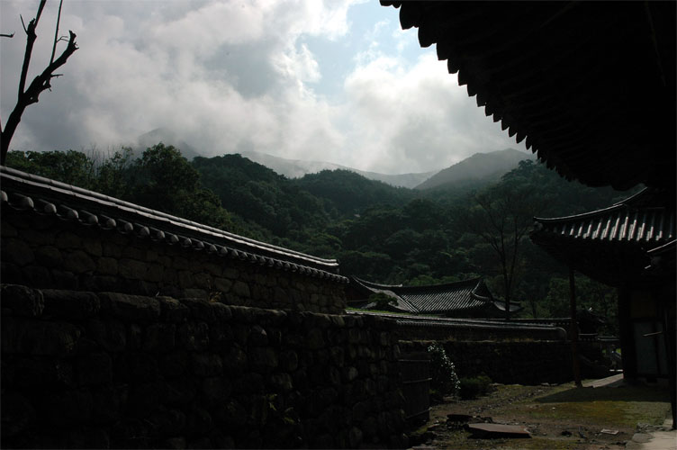 b0054886_1719563.jpg