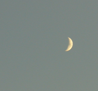 e0026586_23181080.jpg