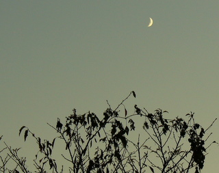 e0026586_23184349.jpg