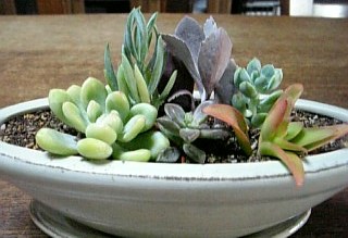 e0111793_1704812.jpg
