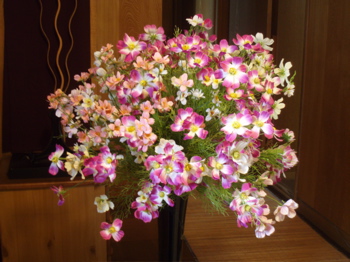 f0130894_2224657.jpg