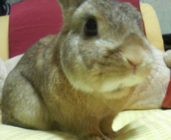 c0090899_213526100.jpg