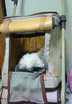 e0040602_21162360.jpg