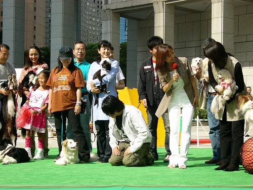 a0032004_1125180.jpg
