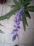 c0097806_22163983.jpg