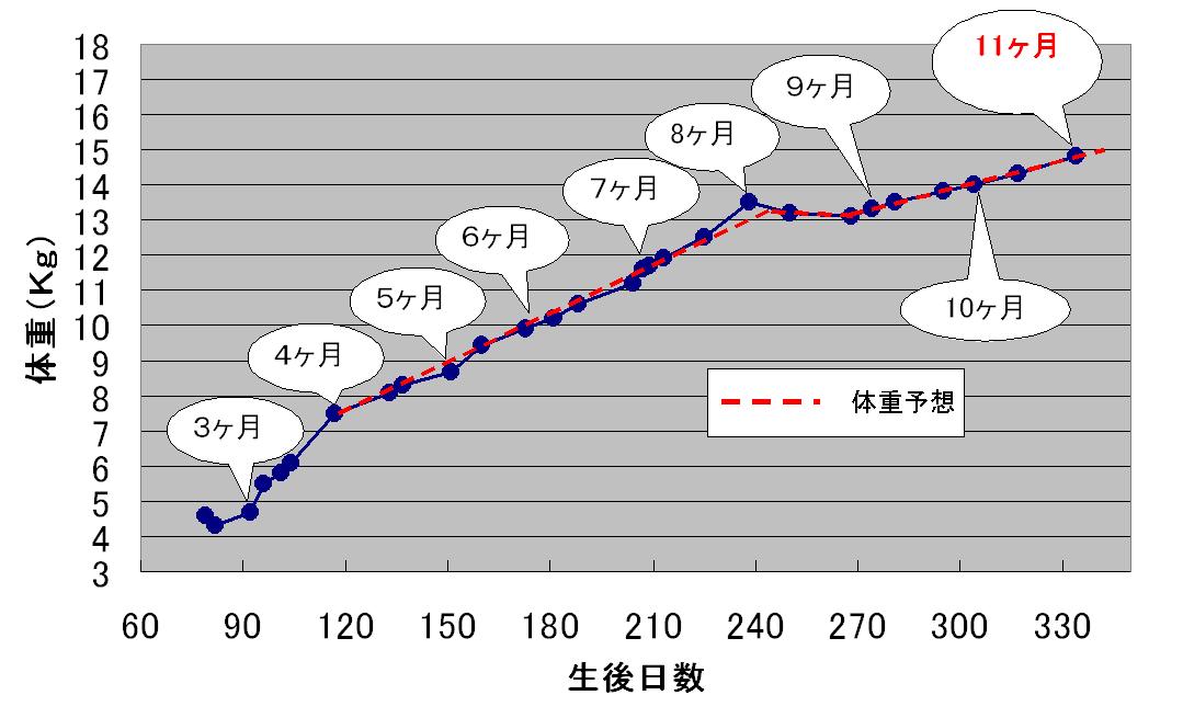c0113109_0412465.jpg