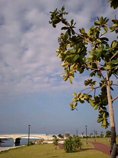 a0074110_14152424.jpg