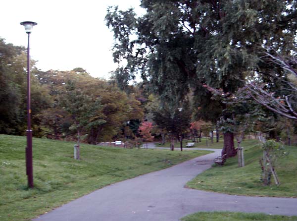 b0118416_21295623.jpg
