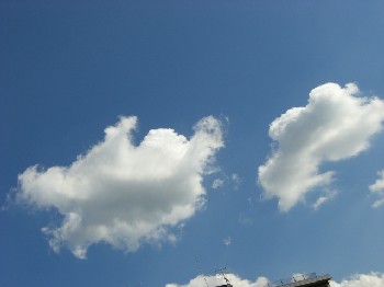 d0072318_11461127.jpg