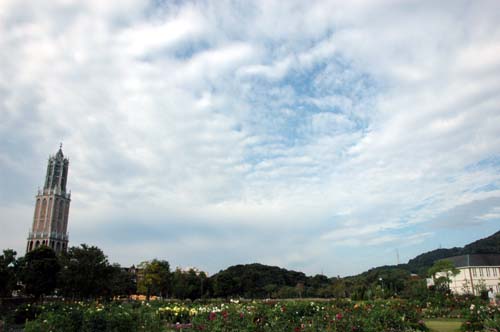 c0059521_8402872.jpg