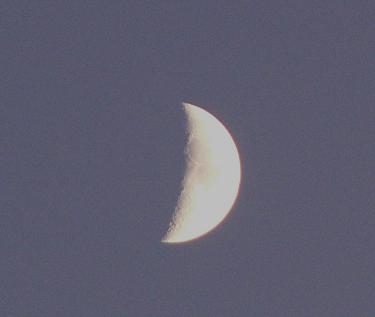 f0118332_016106.jpg