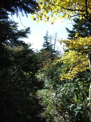 f0118332_2358544.jpg