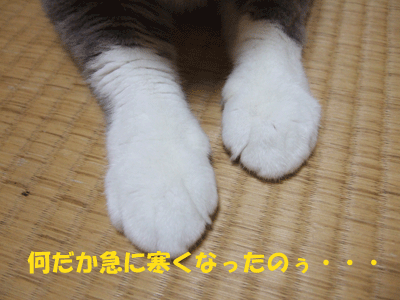 f0008935_22563429.gif