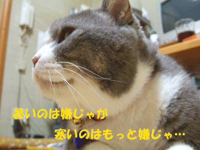 f0008935_2256507.gif