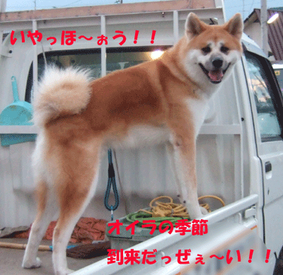 f0008935_22572341.gif
