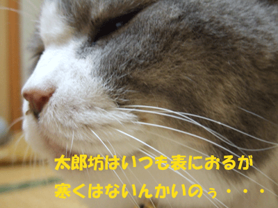 f0008935_2257650.gif