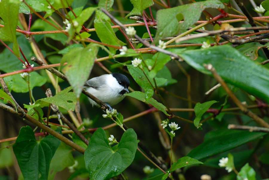 a0039245_21381354.jpg
