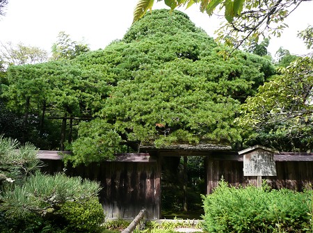 c0057946_18323398.jpg