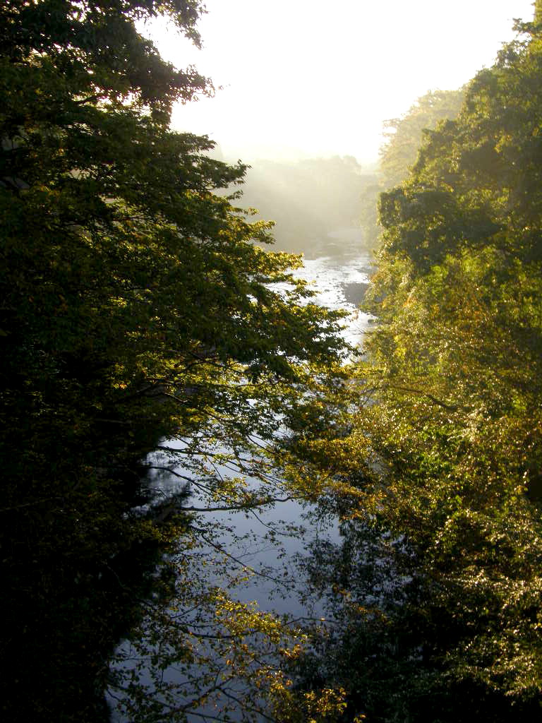 e0064158_22275042.jpg