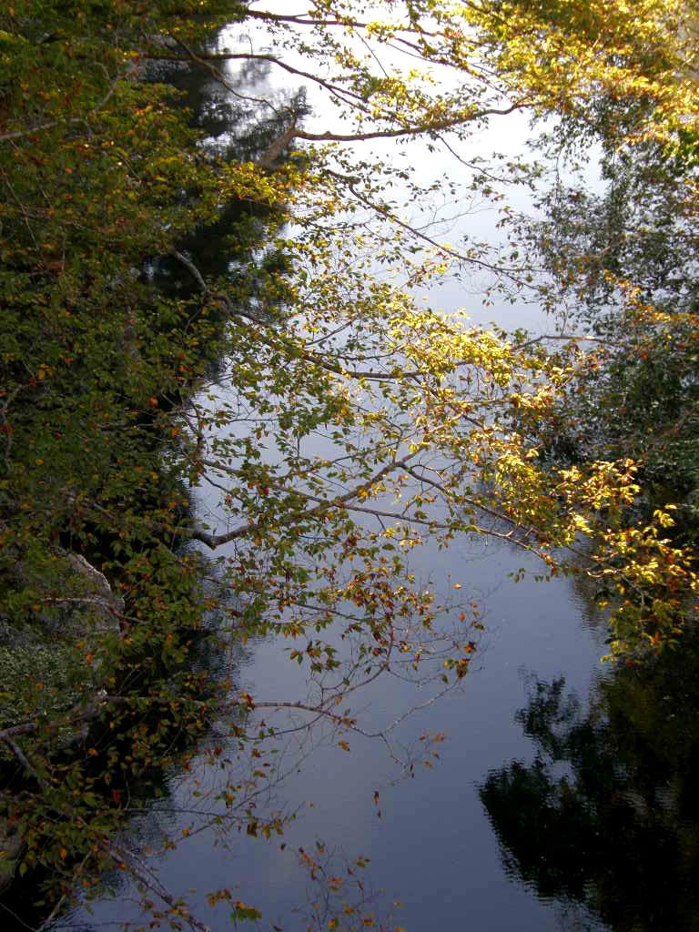 e0064158_22281897.jpg