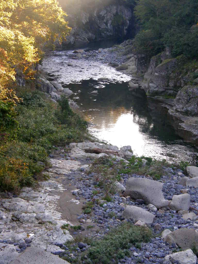 e0064158_22313065.jpg