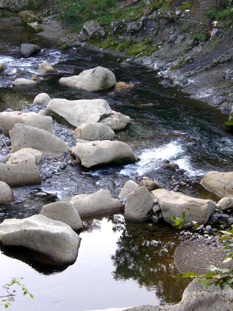 e0064158_2231814.jpg