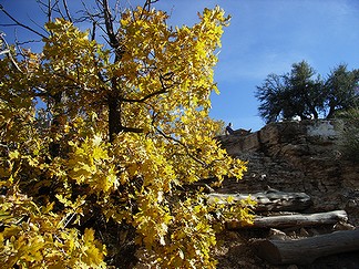 d0118862_8205070.jpg