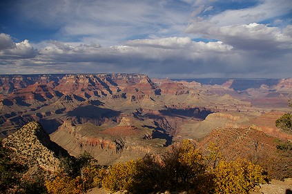 d0118862_86583.jpg