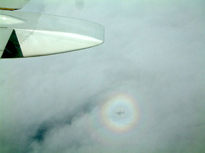 c0050264_959044.jpg