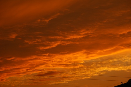 a0091666_23205420.jpg