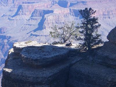 e0122968_1102093.jpg